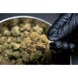 What is Delta-9-THC? A fantastic insight by Jonathan Dunkley.